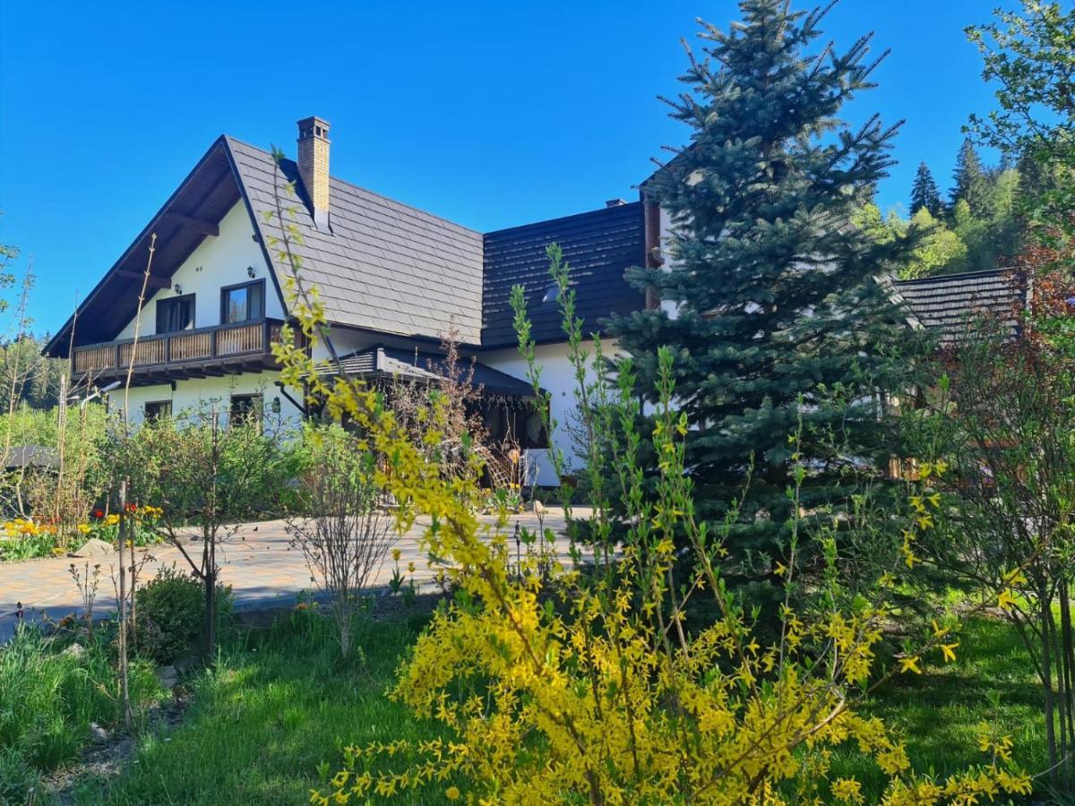 Casa Baciu Otel Fundu Moldovei Dış mekan fotoğraf