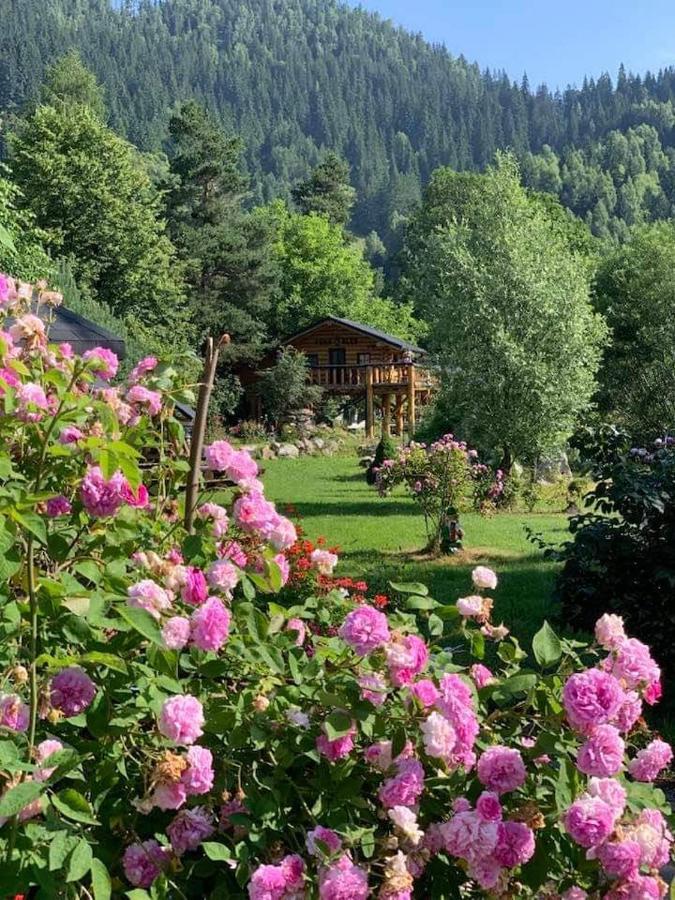 Casa Baciu Otel Fundu Moldovei Dış mekan fotoğraf