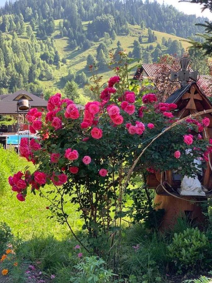 Casa Baciu Otel Fundu Moldovei Dış mekan fotoğraf